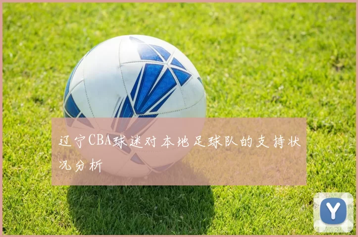 辽宁CBA球迷对本地足球队的支持状况分析