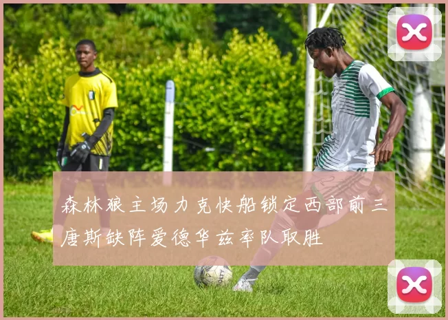 森林狼主场力克快船锁定西部前三唐斯缺阵爱德华兹率队取胜
