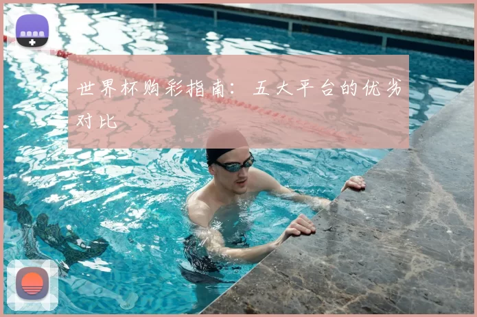 世界杯购彩指南:五大平台的优劣对比