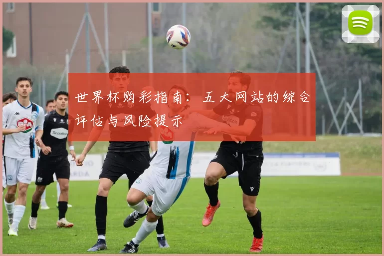 世界杯购彩指南:五大网站的综合评估与风险提示