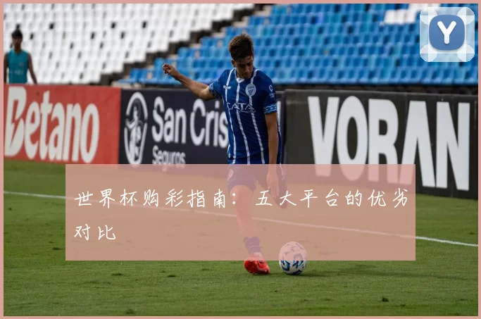 世界杯购彩指南:五大平台的优劣对比
