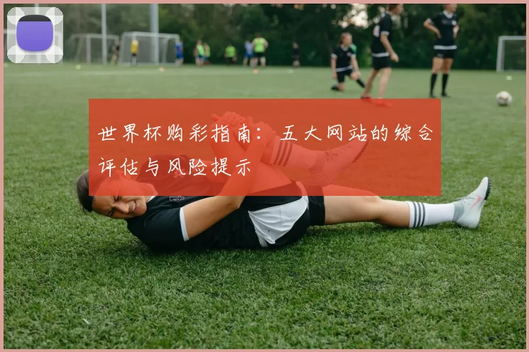世界杯购彩指南:五大网站的综合评估与风险提示