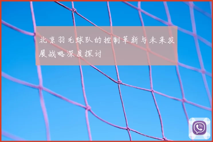 北京羽毛球队的控制革新与未来发展战略深度探讨