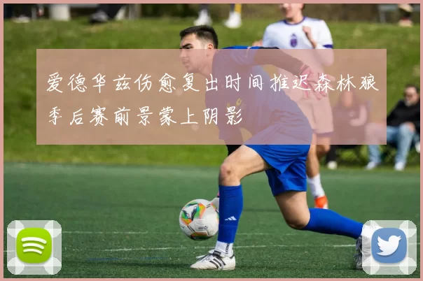 爱德华兹伤愈复出时间推迟森林狼季后赛前景蒙上阴影