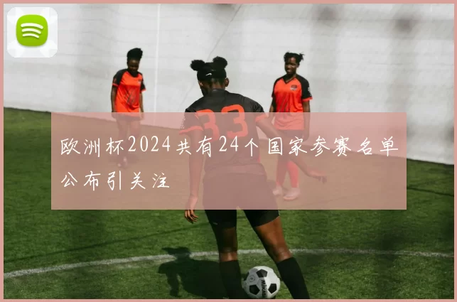 欧洲杯2024共有24个国家参赛名单公布引关注