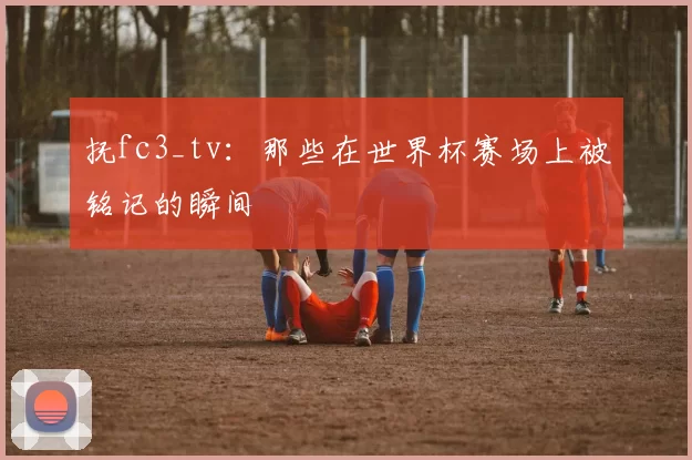 抚fc3_tv：那些在世界杯赛场上被铭记的瞬间