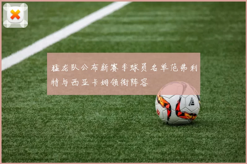 猛龙队公布新赛季球员名单范弗利特与西亚卡姆领衔阵容