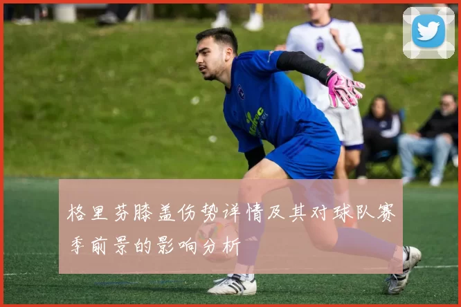 格里芬膝盖伤势详情及其对球队赛季前景的影响分析