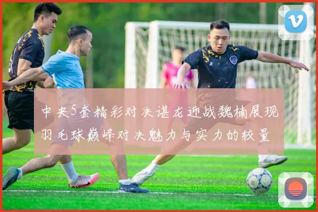 中央5套精彩对决谌龙迎战魏楠展现羽毛球巅峰对决魅力与实力的较量