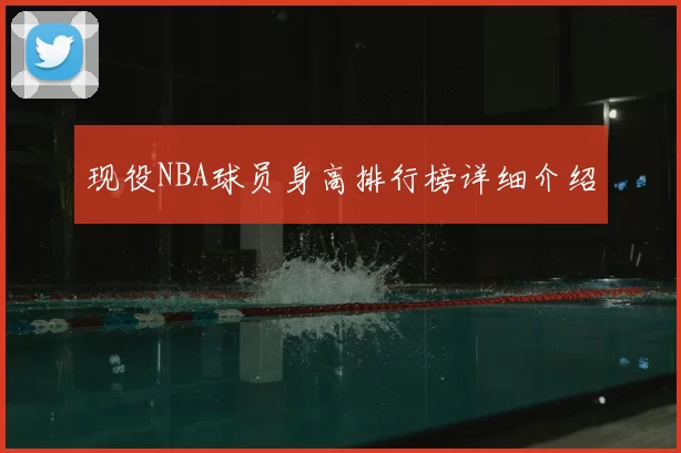 现役NBA球员身高排行榜详细介绍