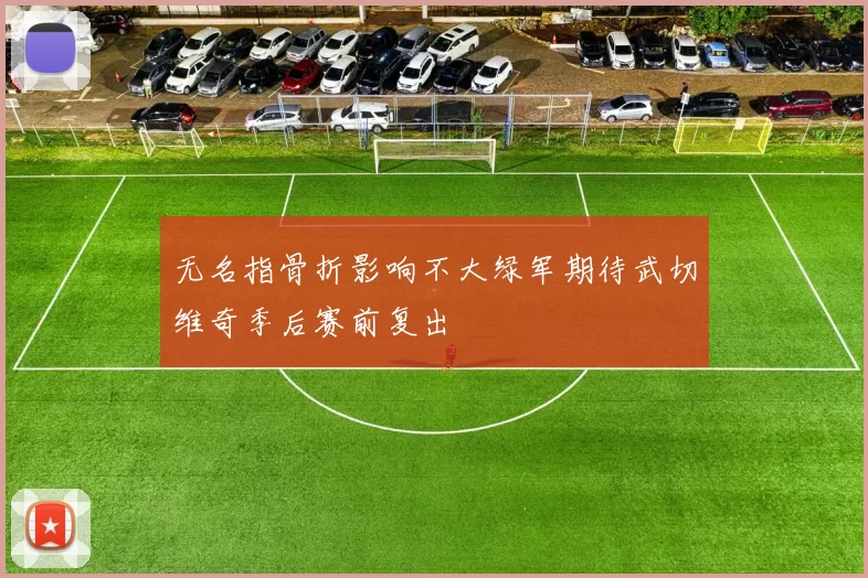 无名指骨折影响不大绿军期待武切维奇季后赛前复出