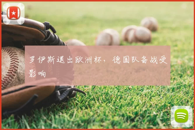 罗伊斯退出欧洲杯,德国队备战受影响