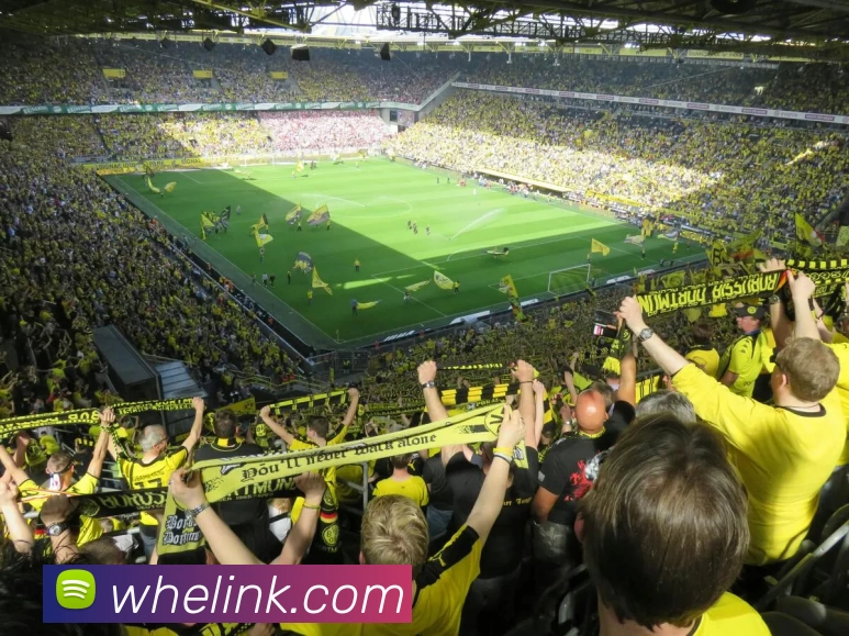 亚新官网发展历程