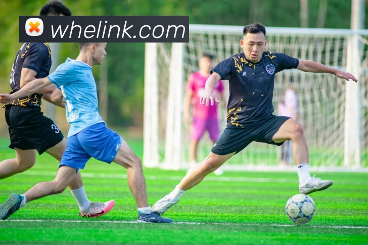 亚新官网全站App